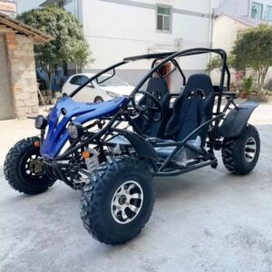 300 CC Gokart Buggy