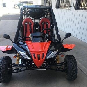 250cc Gokart